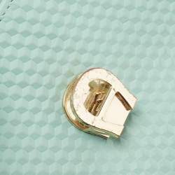 Pre Owned Aigner Mint Green Embossed Leather Genoveva Crossbody Bag