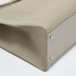 Pre Owned Aigner Grey Python Embossed Leather Cavallina Tote