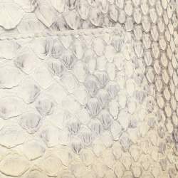 Pre Owned حقيبة كلتش أكريس  جلد بايثون رمادي WOC