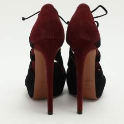 Alaia Burgundy/Black Suede Lace Up Booties Size 37