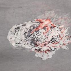 Alexander McQueen Grey Skull Printed Silk Scarf