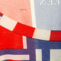 Pre Owned Alexander McQueen Multicolor Skull Print Crew Neck T-Shirt M