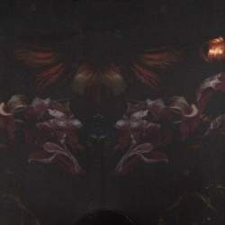 Pre Owned Alexander McQueen Multicolor Floral Printed Jersey Legging S