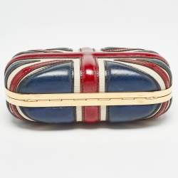 Pre Owned Alexander McQueen Multicolor Leather Britannia Skull Box Clutch