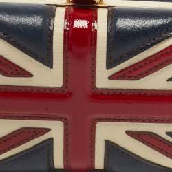 Alexander McQueen Multicolor Leather Britannia Skull Box Clutch