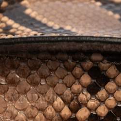 Pre Owned Alexander McQueen Multicolor Python Mini Heroine Bag