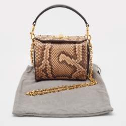 Alexander McQueen Beige Python Box Crossbody Bag
