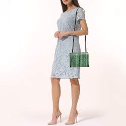 Alexander Wang Green/Black Snakeskin and Leather Flap Shoulder Bag