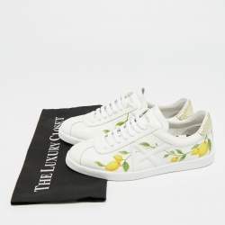 Pre Owned حذاء رياضي أكوازورا أربطة A جلد أبيض/ذهبي ومطبوع جلد الثعبان مزخرف بطبعة ليمون مقاس 36.5