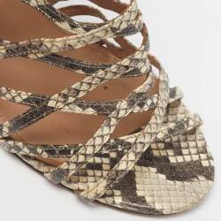 مملوكة مسبقًا Aquazzura knockout Size 38.5 Beige Snakeskin Embossed Leather Gladiator Sandals