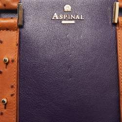 Aspinal of London Multicolor Leather and Ostrich Embossed Marylebone Tote