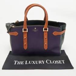Aspinal of London Multicolor Leather and Ostrich Embossed Marylebone Tote