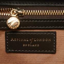 Aspinal Of London Dark Brown Watersnake Leather Trunk Top Handle Bag