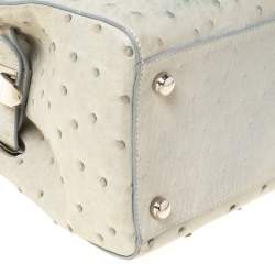 مملوكة مسبقًا  حقيبة يد آسبري بيلغرافيا جلد نعام خضراء ليموني افوكادو