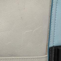 Pre Owned Balenciaga Multicolor Leather and Stingray Cherche Clutch