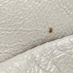 Pre Owned Balenciaga Multicolor Leather and Stingray Cherche Clutch