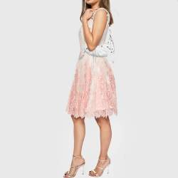 Pre Owned حقيبة كتف بالنسياغا اكس أس لو كاغولي جلد فضي بسلسلة