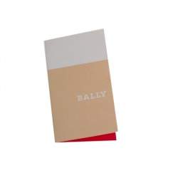 Pre Owned Bally Brown Ostrich Flap Chain Clutch