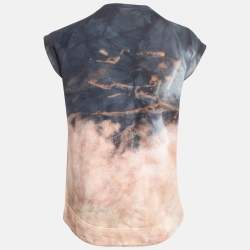 Pre Owned Balmain Multicolor Tiger Embroidered Dyed Cotton T-Shirt S