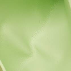 مملوكة مسبقًا حافظة بطاقات بوتيغا فينيتا جلد أنترشياتو أخضر فاتح