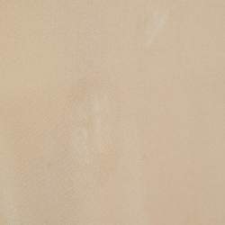 Bottega Veneta Beige Silk Front Tie-Up Top S