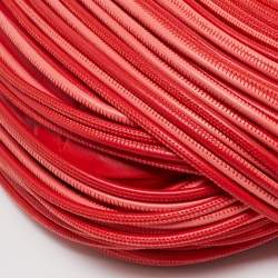 Pre Owned Bottega Veneta Red Mini Leather Tubular Jodie Hobo