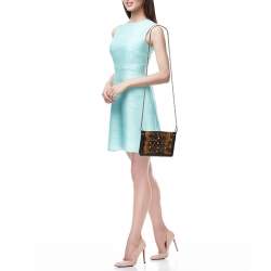 Pre Owned Bottega Veneta Brown/Black Karung Leather Montebello Shoulder Bag