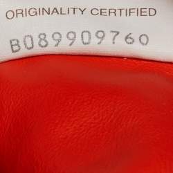 Pre Owned Bottega Veneta Orange Leather The Chain Pouch Bag