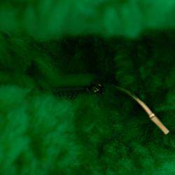 Pre Owned Bottega Veneta Green Mini Shearling Jodie