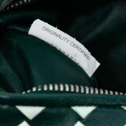 مملوكة مسبقًا Bottega Veneta Green White Mini Bicolor Nappa Intrecciato Dragon Jodie