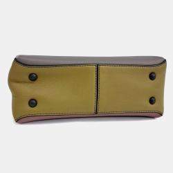 Pre Owned Bottega Veneta Multicolor Leather tote and shoulder bag