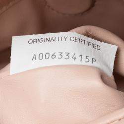 مملوكة مسبقًا حقيبة ساتشيل بوتيغا فينيتا هوب صغير جلد عجل إنتريتشياتو زهري