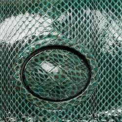 Pre Owned حقيبة كلتش بوتيغا فينيتا جلد أفعى مائي أخضر بقفل دوار