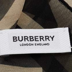 Pre Owned Burberry Archive Beige Triple Checks Stripe Montage Print Silk Scarf
