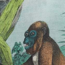 Pre Owned Burberry Opal Green Monkey Print Cashmere Stole