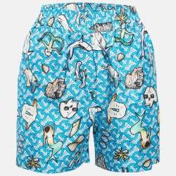 Burberry Blue Tawney Print Silk Shorts XXS