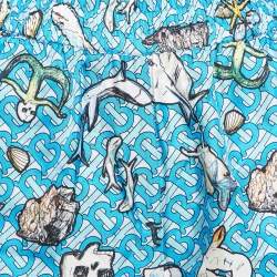 Burberry Blue Tawney Print Silk Shorts XXS