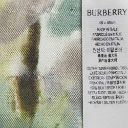 Pre Owned Burberry Multicolor Print Silk Highgrove Spring Square Scarf