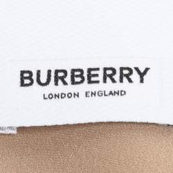 Burberry Beige Pleated Chiffon Midi Skirt XS
