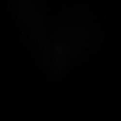 Burberry Brit Black Cotton Knit Nova Check Detail Roundneck T-Shirt M