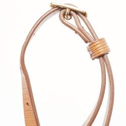 Burberry Burgundy/Brown Leather Buckle Vertical Crossbody Bag