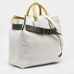 Pre Owned Burberry Tricolor Leather Large Marais Belt Bag