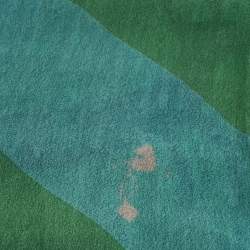 Bvlgari x Davide Pizzigone Green Animal Print Silk Scarf