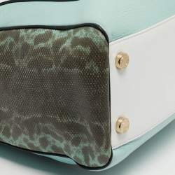 Pre Owned Bvlgari Scaglie Serpenti Light Green/White Karung and Leather Tote