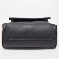 Carolina Herrera Multicolor Leather Mini Minuetto Top Handle Bag