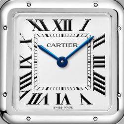 Panthère de Cartier WSPN0011 Automatic White Stainless Steel Women's Wristwatch 31 mm