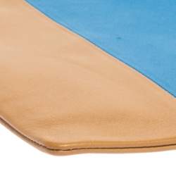 Pre Owned Celine Blue/Brown Leather Solo Clutch