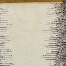 Pre Owned Celine Cream/Brown Lizard Clasp Crossbody bag