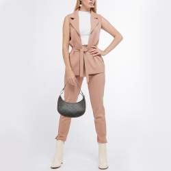 Celine Dark Brown Triomphe Coated Canvas and Leather Ava Hobo