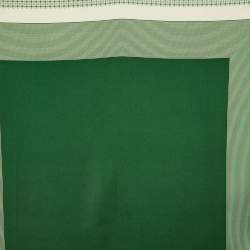 Celine Green/White Silk Scarf